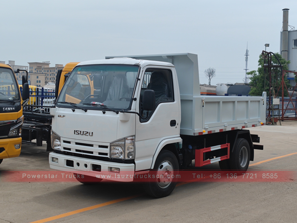 الفلبين ايسوزو 4X2 6 عجلة قلابة شاحنة 2T 3T 5T ​​قلابة شاحنة بضائع صغيرة للبيع