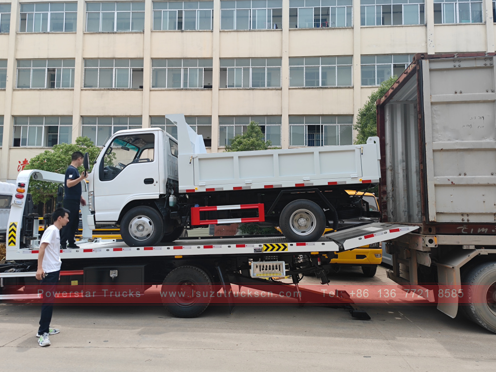 الفلبين ايسوزو 4X2 6 عجلة قلابة شاحنة 2T 3T 5T ​​قلابة شاحنة بضائع صغيرة للبيع