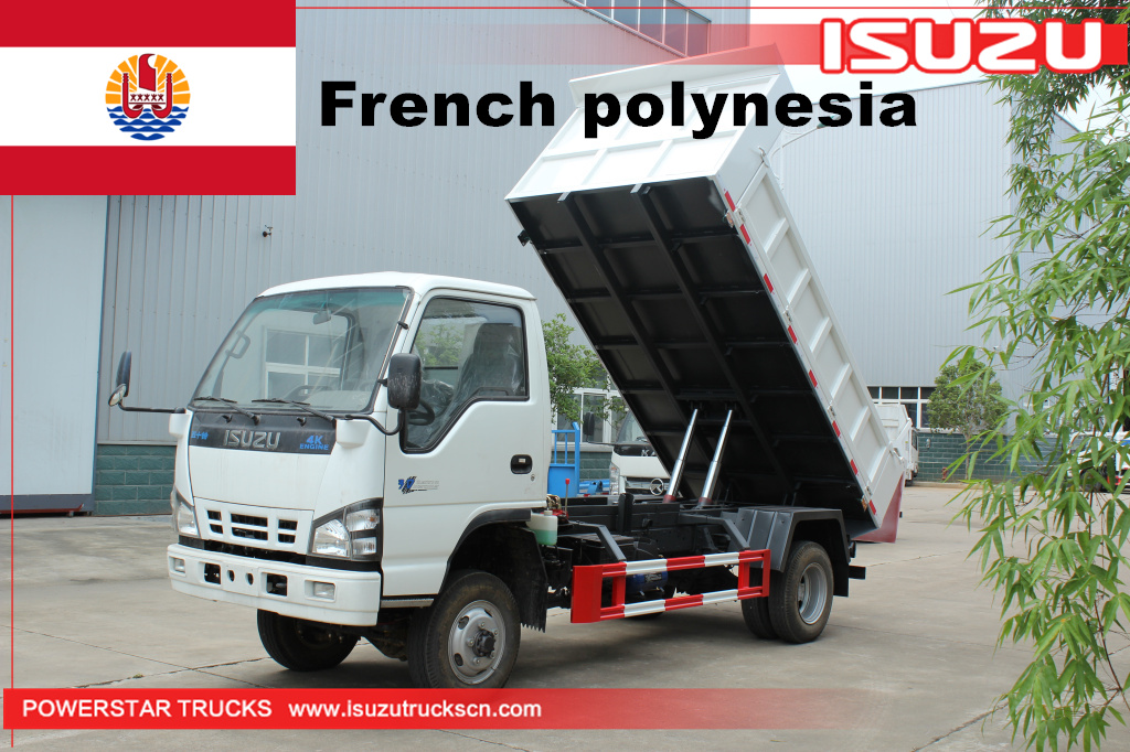 بولينيزيا الفرنسية ايسوزو NKR 600P 4x2 4x4 full road mini tipper truck 3 tonne to 4 tonne 5 tonne