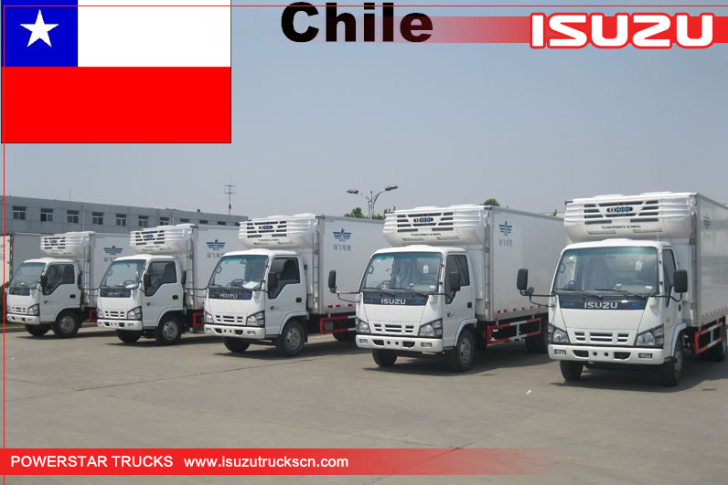 شيلي - 6 وحدات ايسوزو الشاحنات فان المبردة